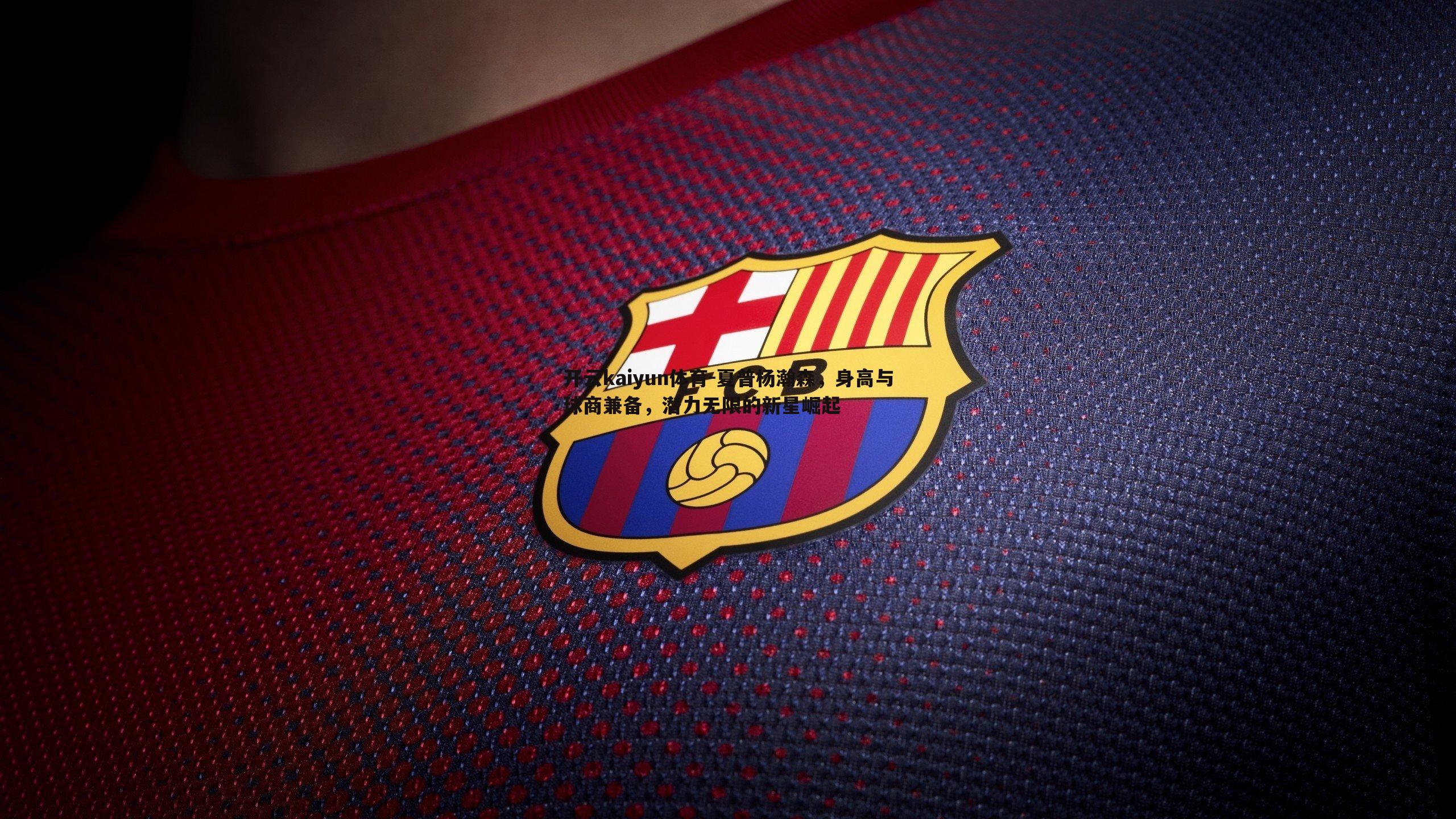 夏普杨瀚森，身高与球商兼备，潜力无限的新星崛起